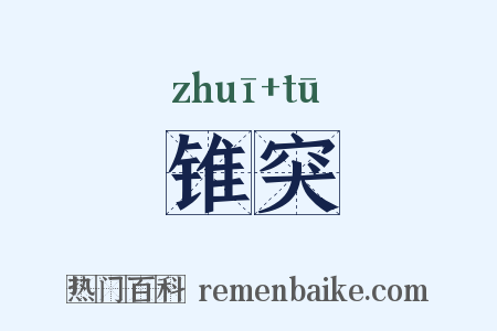 锥突是什么意思的图片